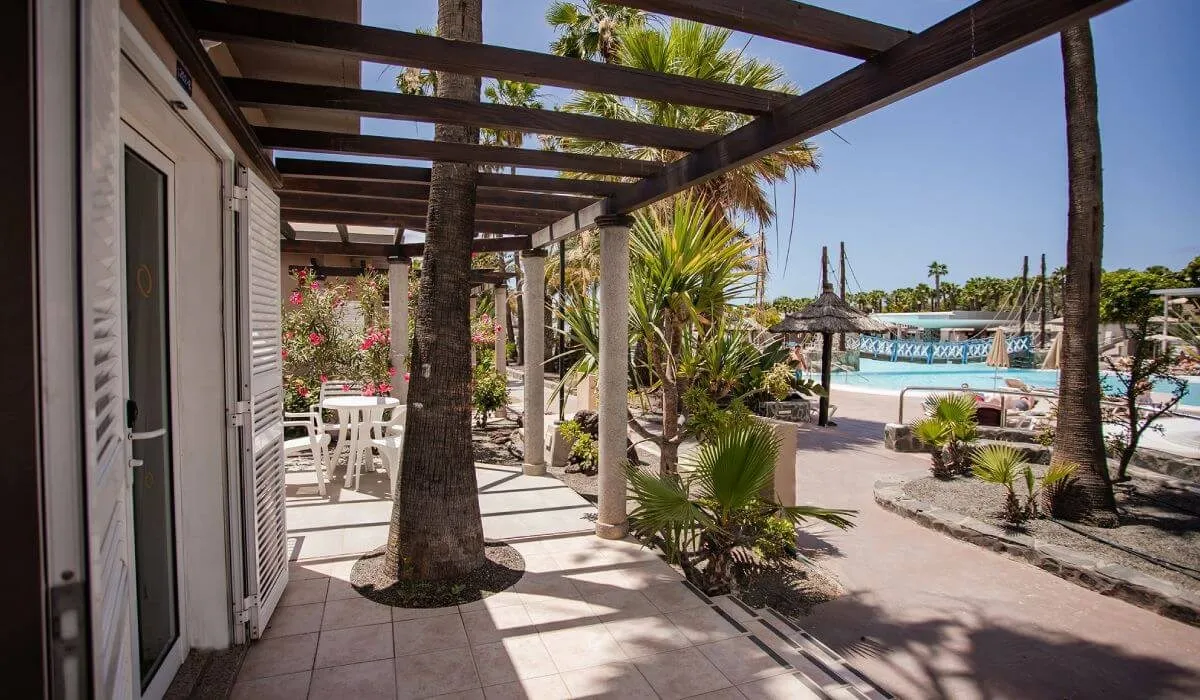 Terraza con palmeras junto a una piscina en un día soleado.