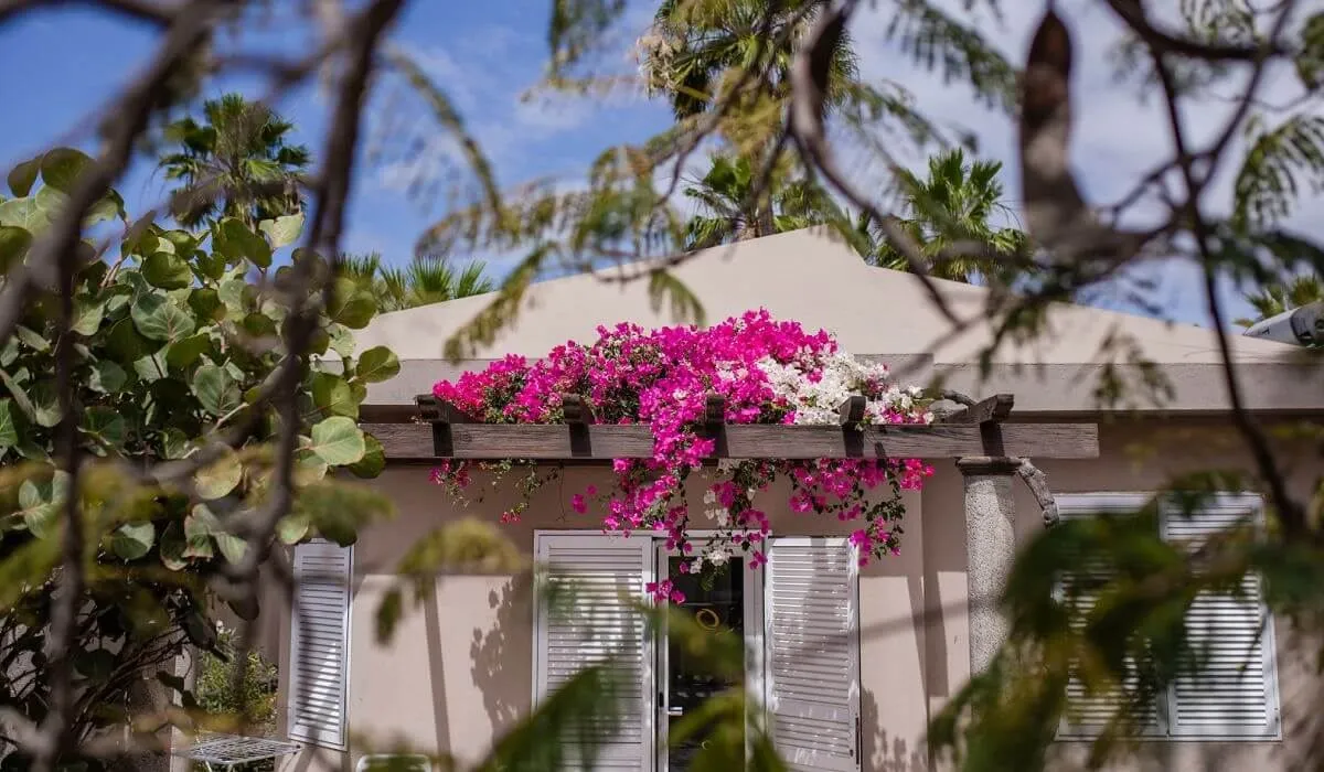 Casa con pérgola y bugambilias rosadas entre follaje.