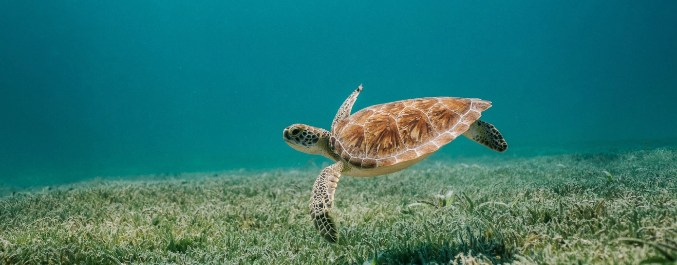 Xiqu&eacute; Hotel Boutique