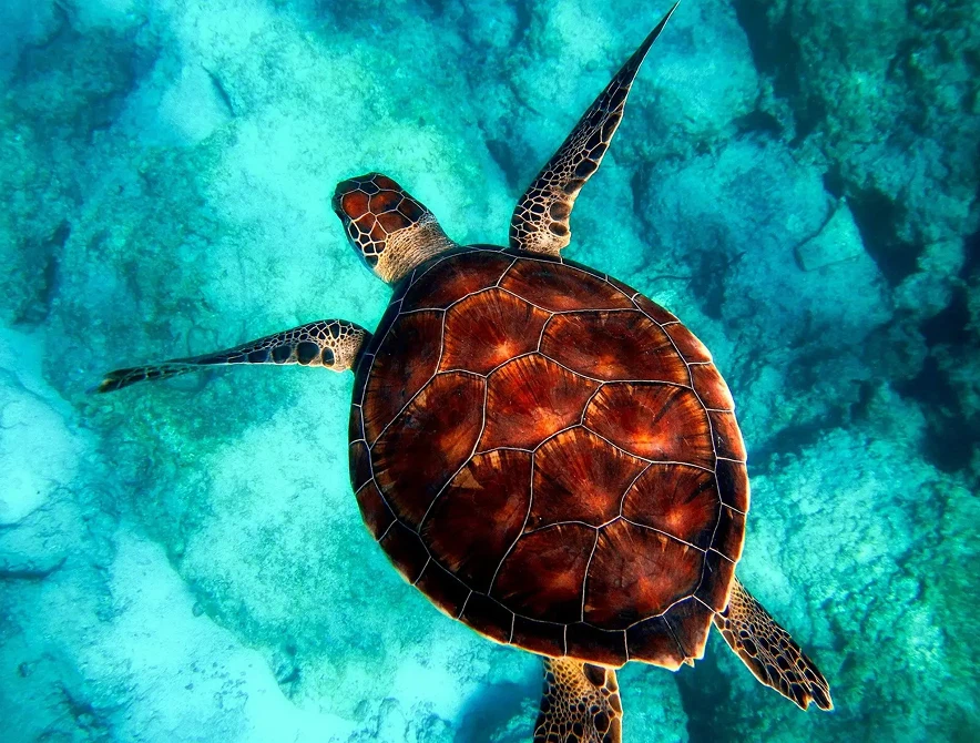 Surroundings - Xiqu&eacute; Hotel Boutique