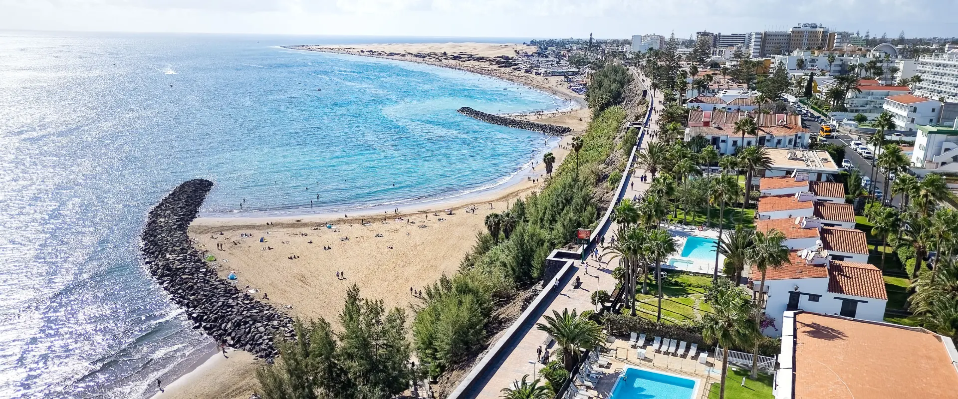 Vista a&eacute;rea de una playa con mar azul y un paseo costero bordeado de palmeras y piscinas.