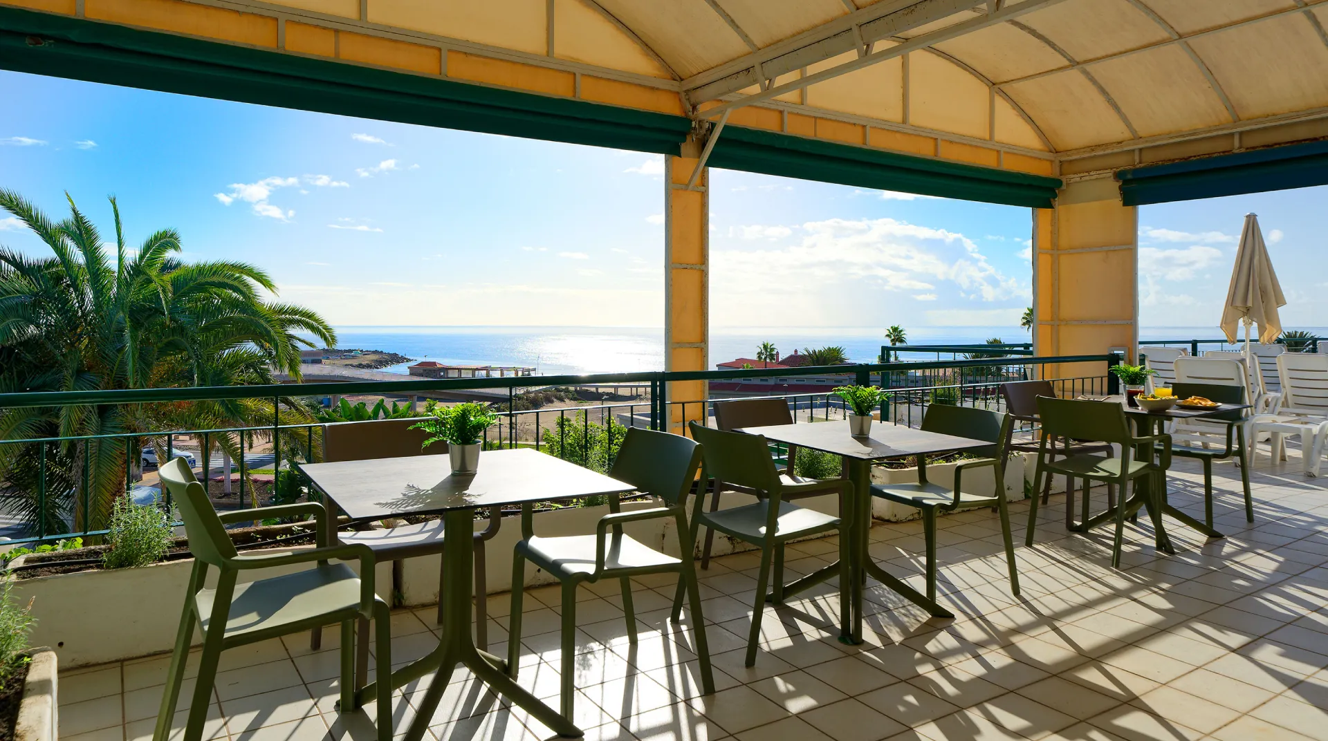 Terraza soleada con mesas, sillas y plantas, vista al mar y palmeras al fondo.