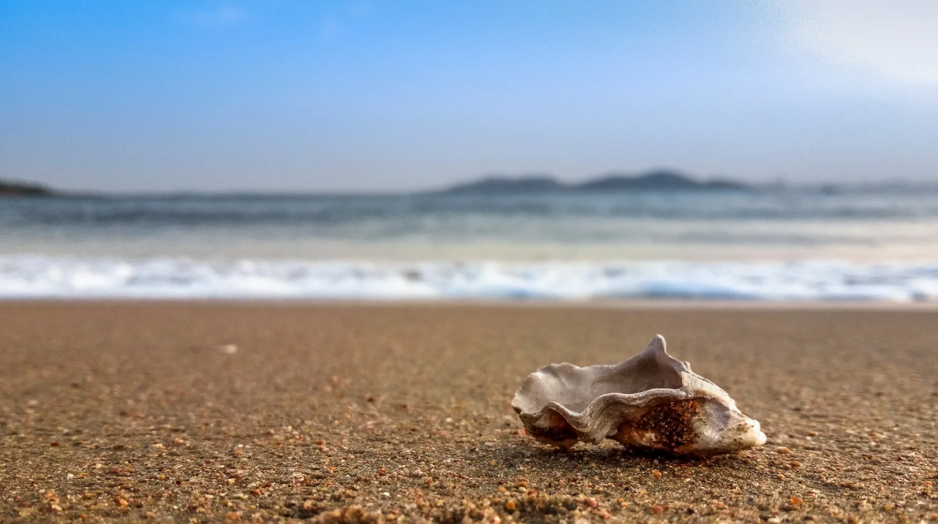Concha en la arena de una playa con mar y monta&ntilde;as al fondo bajo un cielo azul claro.