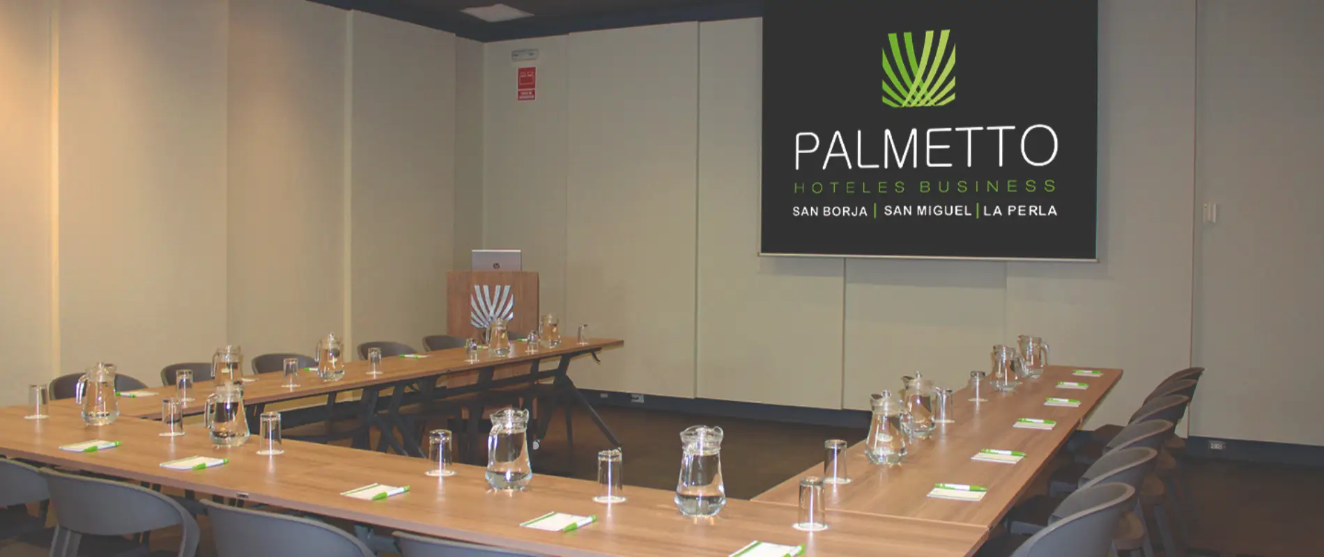 palmetto-eventos-salon-san-miguel (4)