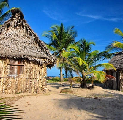 Cabañas de palma junto a palmeras en una playa bajo el cielo azul.