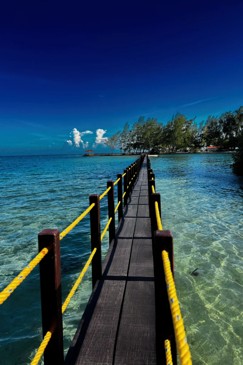 Puente de madera sobre aguas cristalinas rodeado de árboles y cielo azul.