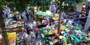 Die besten Märkte im Süden von Teneriffa: Tradition und Geschmack. - Reveron Plaza