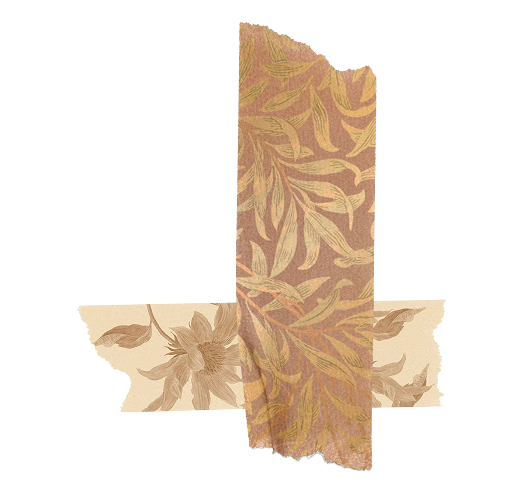 Historia y legado - Reveron Plaza