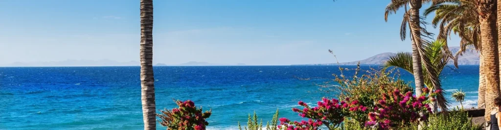 Karwoche auf Teneriffa: Aktivit&auml;ten vom Hotel aus. - Reveron Plaza