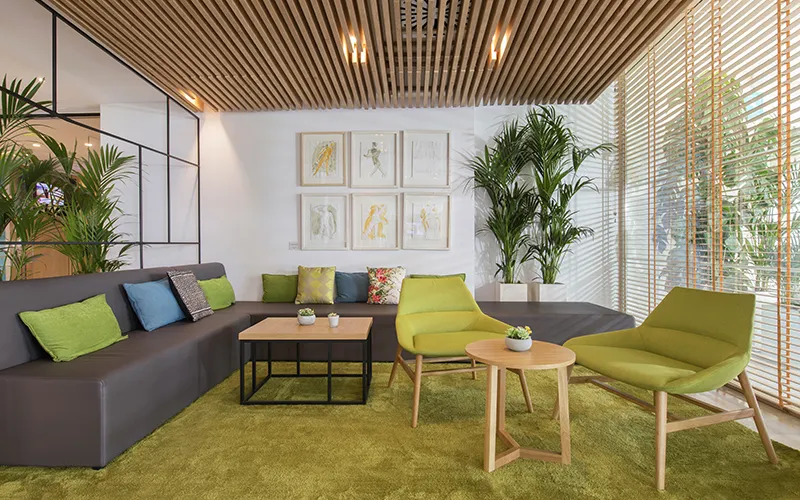 Sala moderna con sof&aacute; gris, sillas verdes, plantas y cuadros en la pared.