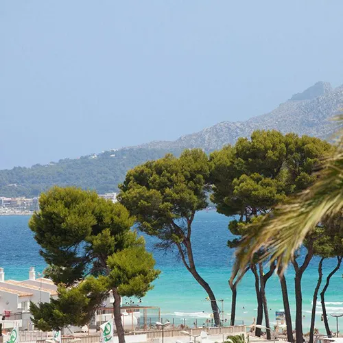 JS Alcudi Mar - JS Hotels