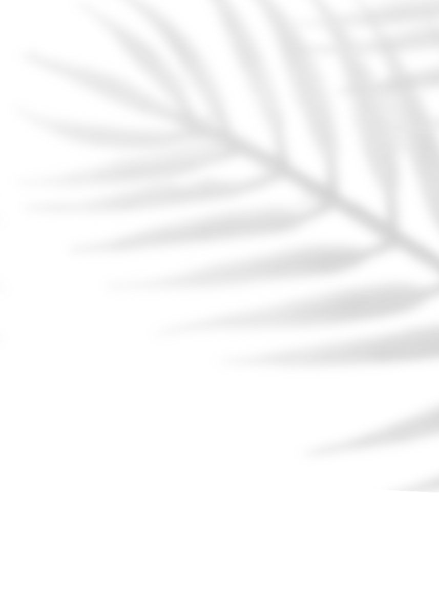 Ramas blancas de hojas superpuestas sobre fondo negro.