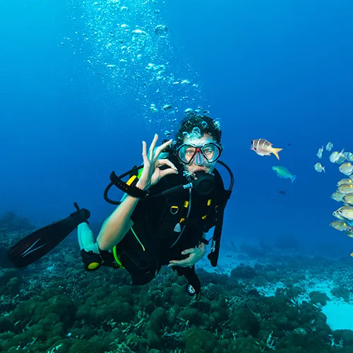 Persona buceando en el oc&eacute;ano junto a peces, haciendo se&ntilde;al de OK.