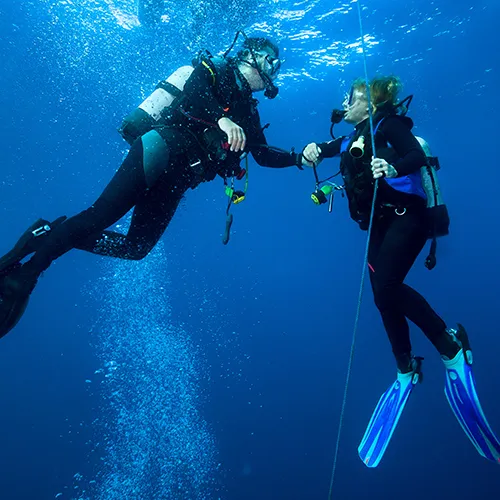 Dos buzos se toman de las manos mientras descienden en el oceano azul.