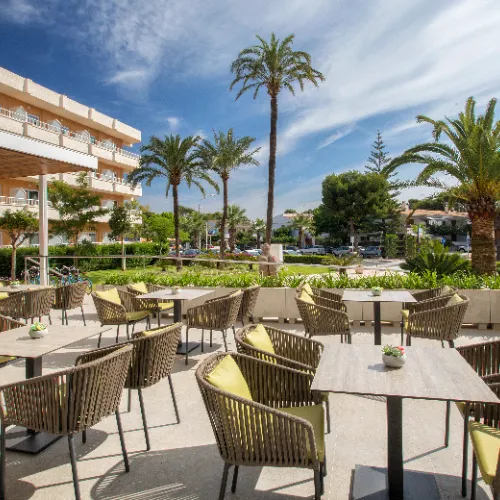 Terraza con mesas, sillas y palmeras bajo un cielo azul despejado.