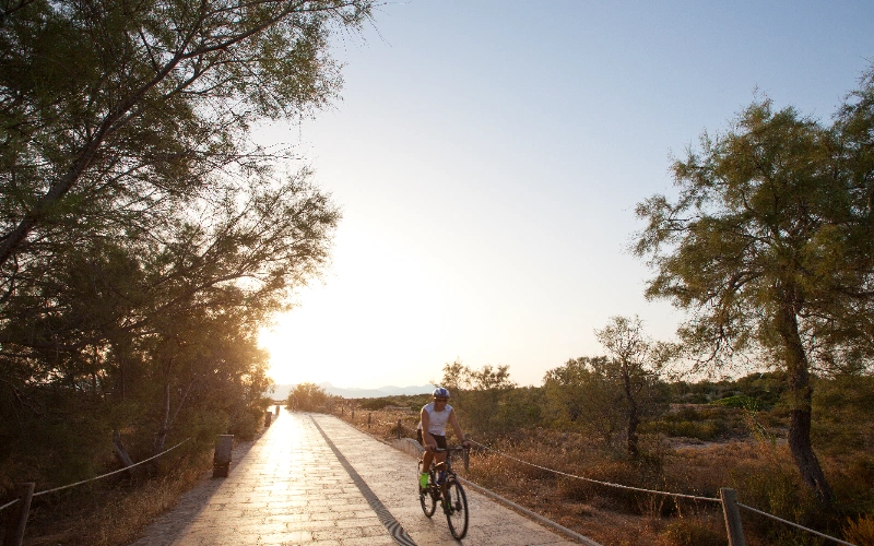 Ciclista en un camino rodeado de &aacute;rboles al atardecer.