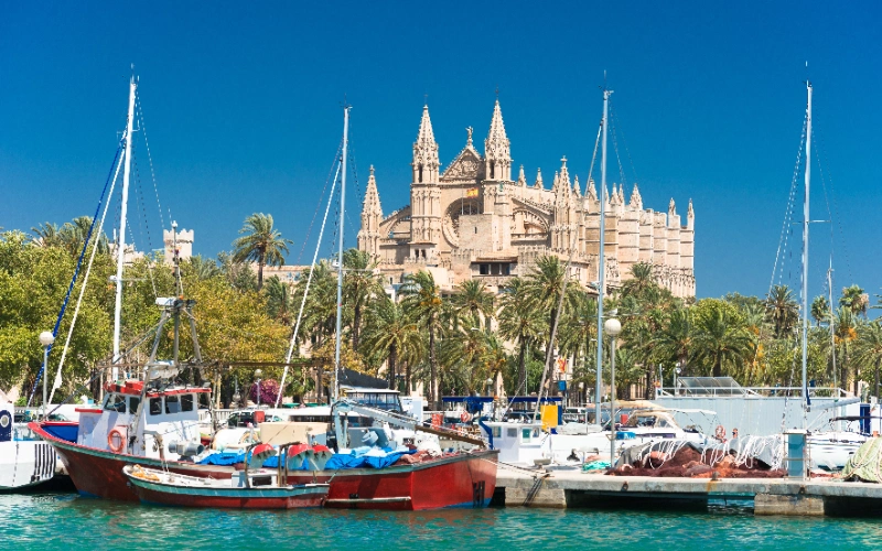 Puerto con barcos y catedral al fondo, rodeados de palmeras bajo un cielo azul.