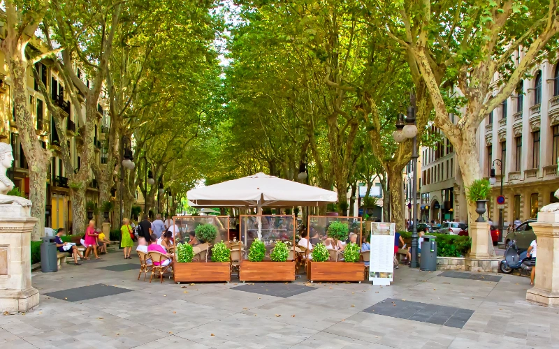 Terraza en una plaza arbolada con personas disfrutando al aire libre.