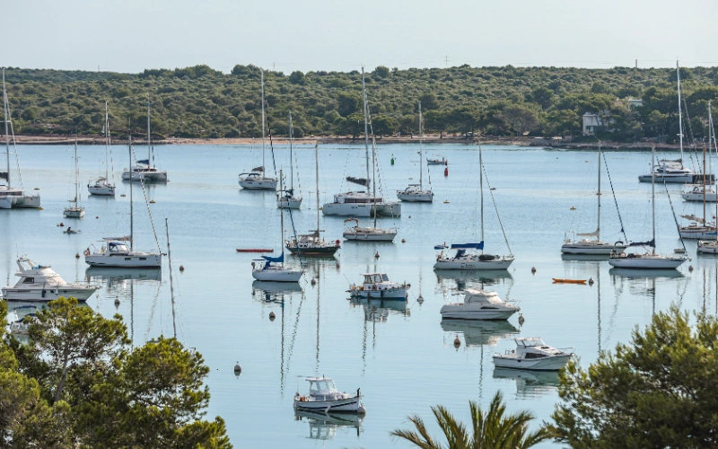 Barcos de vela anclados en un puerto rodeado de &aacute;rboles y agua tranquila.