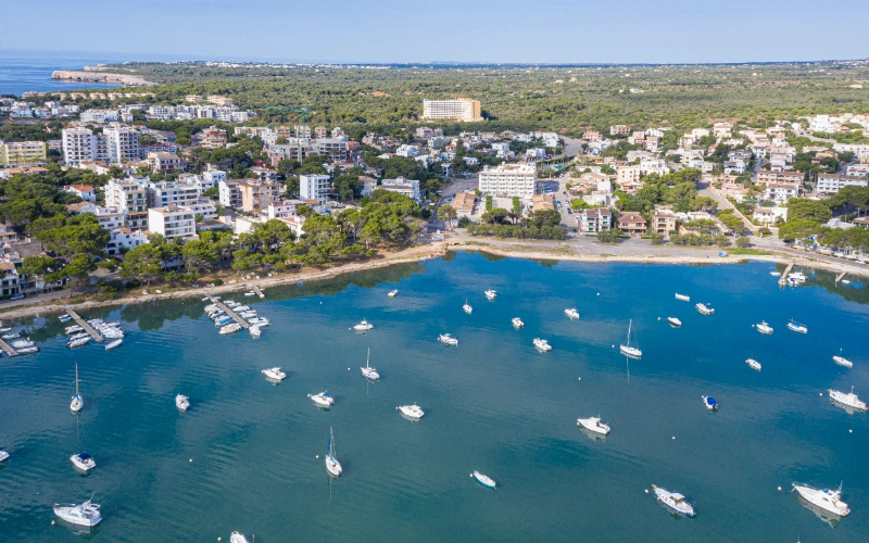 Vista a&eacute;rea de una costa con barcos y edificios rodeados de &aacute;rboles.