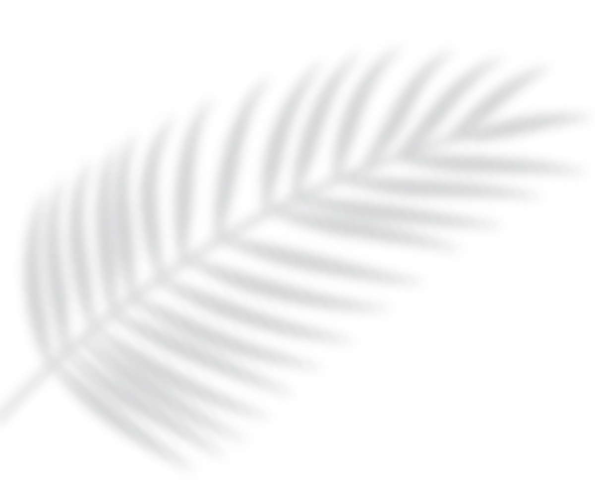 Hoja gris en forma de pluma sobre un fondo negro.