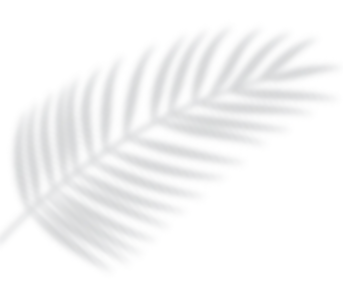 Hoja gris con forma de palma sobre fondo blanco.