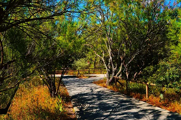 Localizaci&oacute;n - JS Miramar - JS Hotels