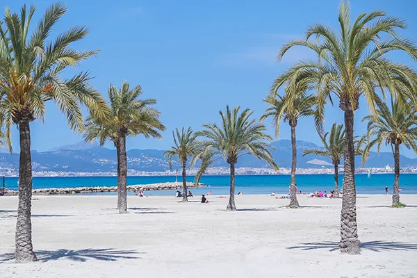 Playa con palmeras y mar azul bajo cielo despejado.