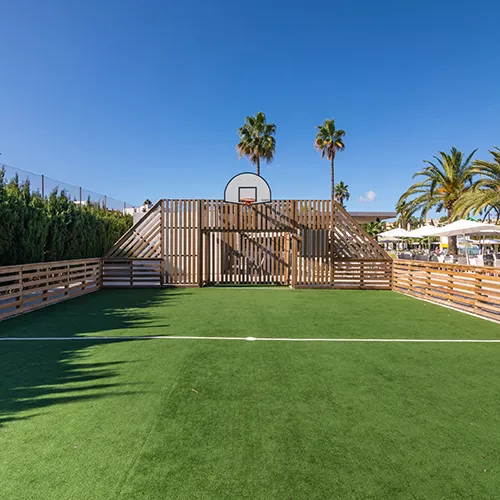 Cancha de c&eacute;sped con aros de basquetbol y palmeras al fondo.