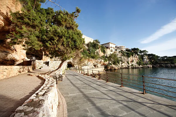 Paseo costero con &aacute;rboles y acantilados junto al mar bajo un cielo despejado.