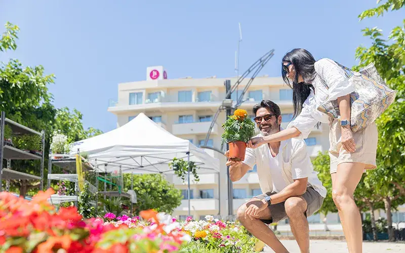 Hostal San Francisco - JS Hotels