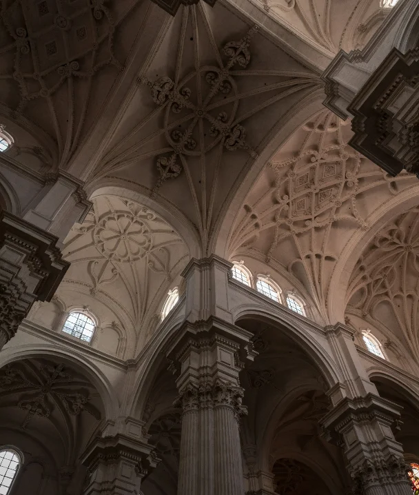 Techo abovedado de catedral con columnas y ventanas altas iluminadas.