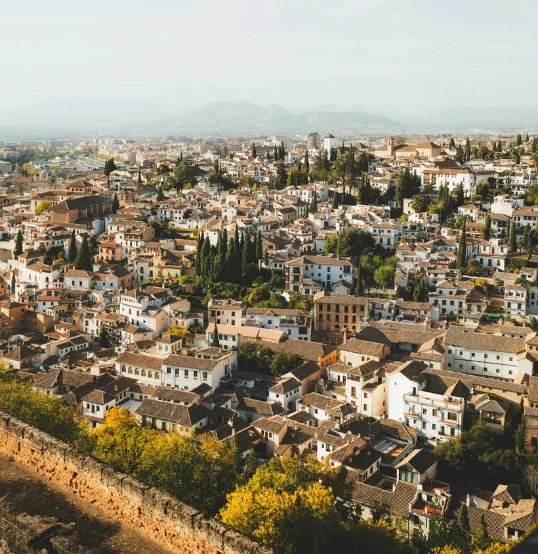 Vista a&eacute;rea de una ciudad con edificios densamente agrupados y vegetaci&oacute;n.