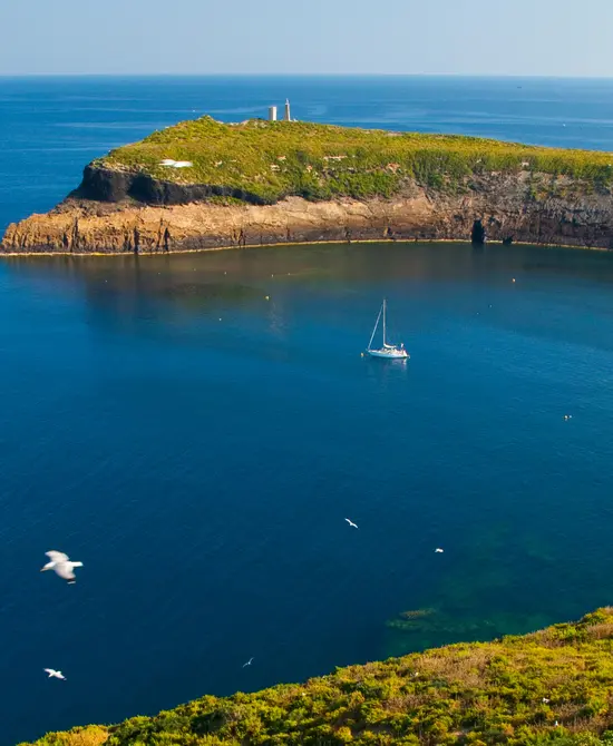 Islote verde con un faro, rodeado de mar azul y un velero. Aves sobrevolando.