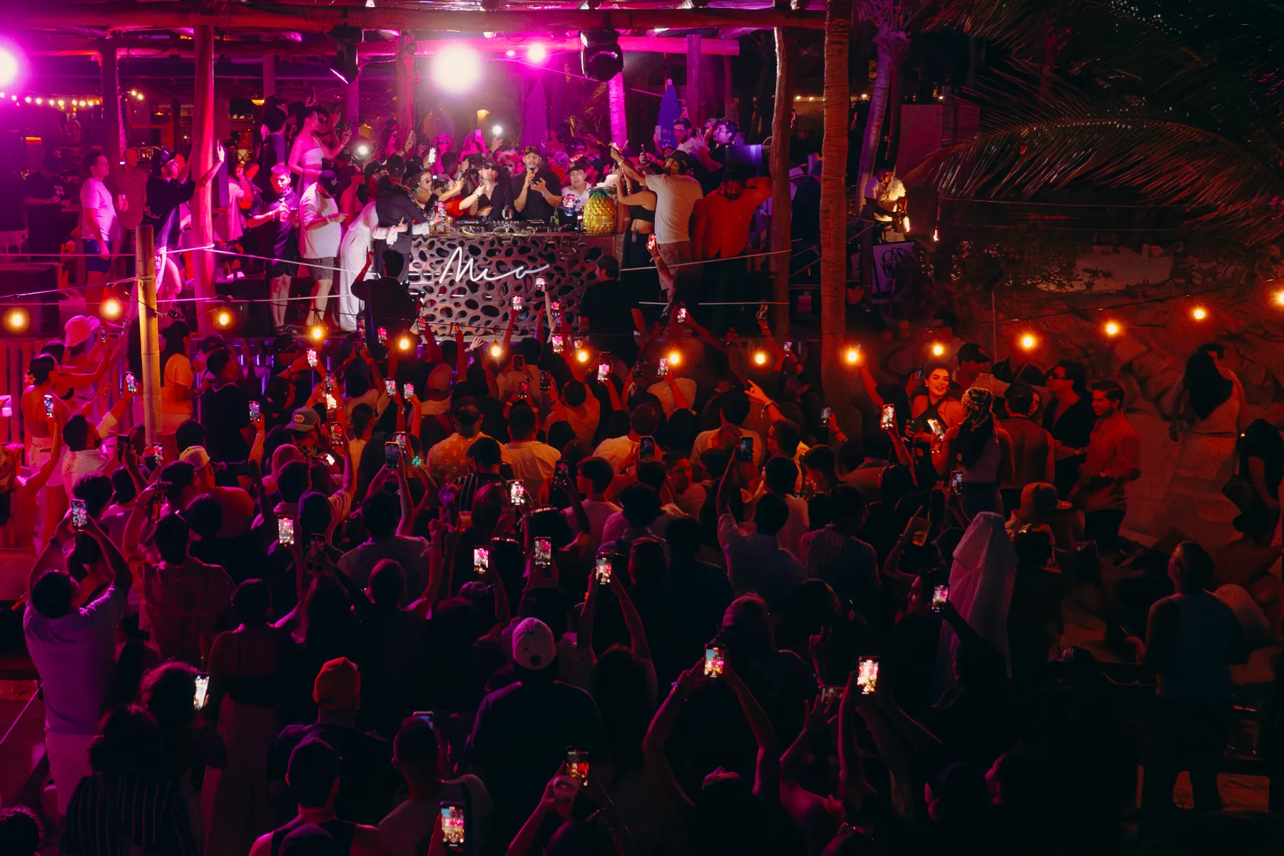 Multitud disfrutando de un evento nocturno con luces y música en vivo.