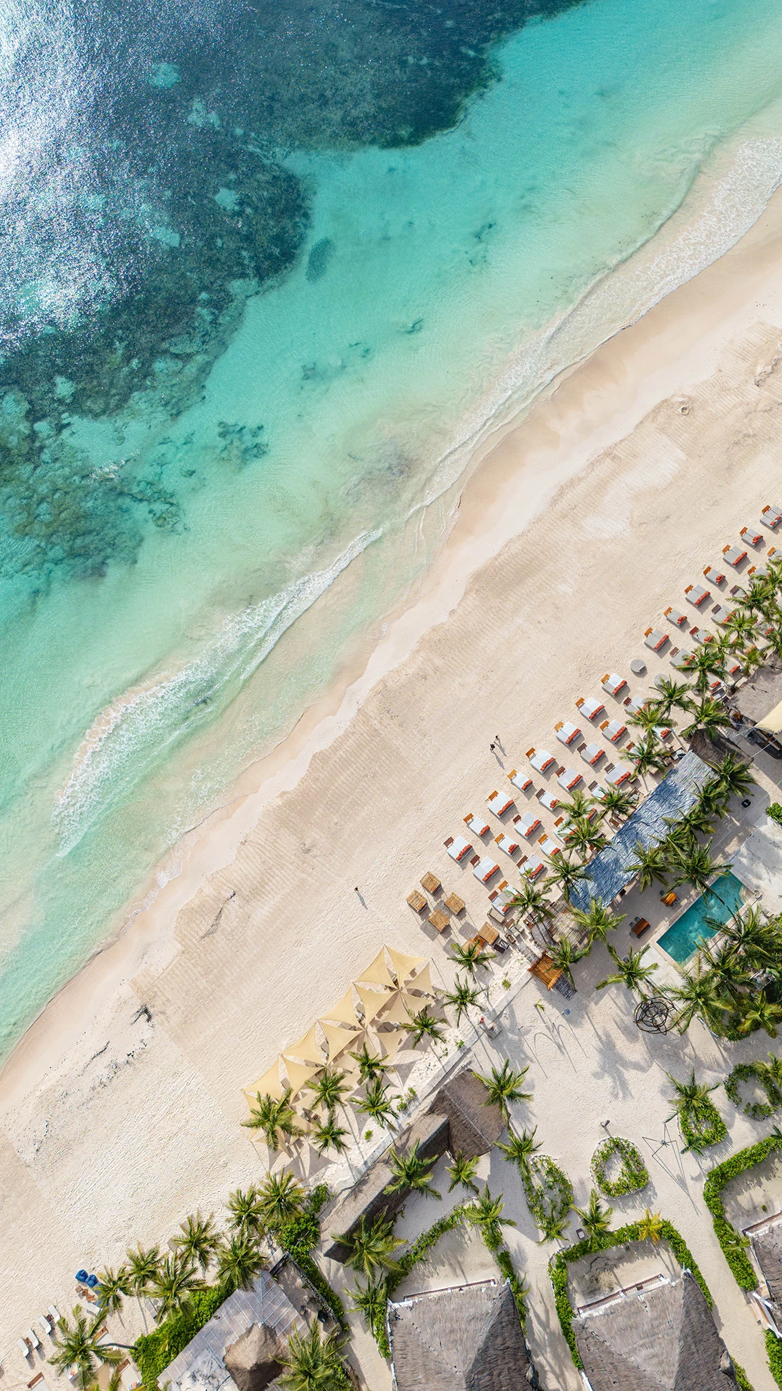 mia beach club