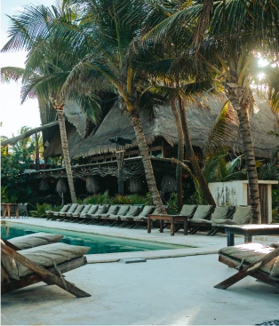 Piscina junto a palmeras y tumbonas en un entorno tropical.