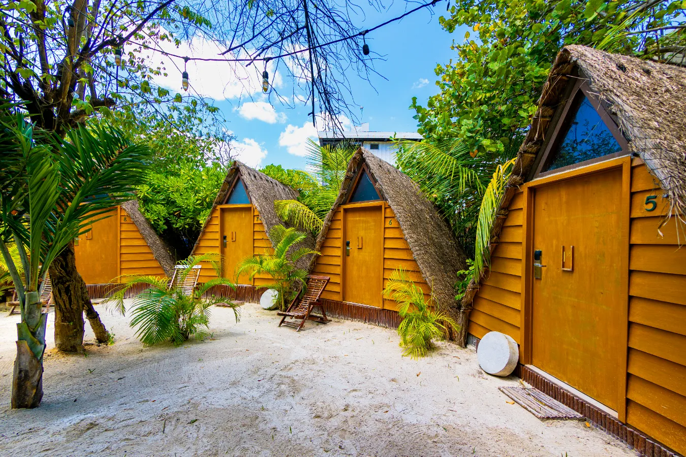Cabañas triangulares rústicas rodeadas de vegetación tropical.