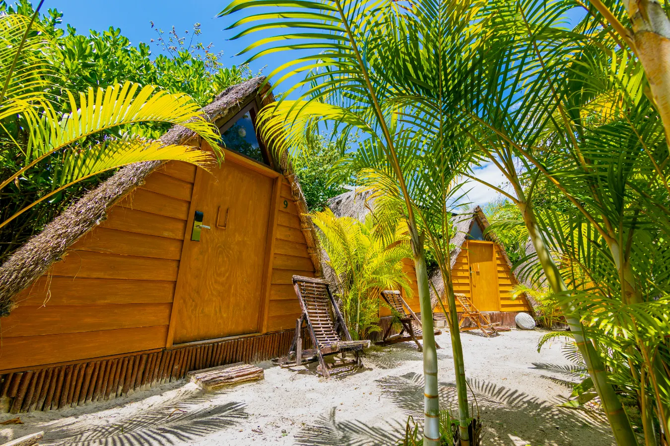 Cabañas rústicas rodeadas de palmeras y sillas en la arena.