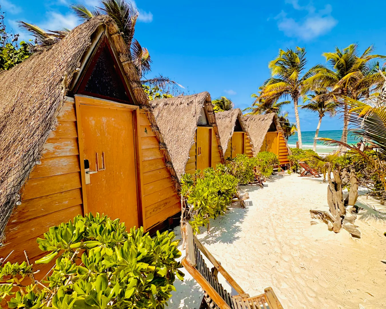 Cabañas de madera con techo de palma en una playa soleada con palmeras.