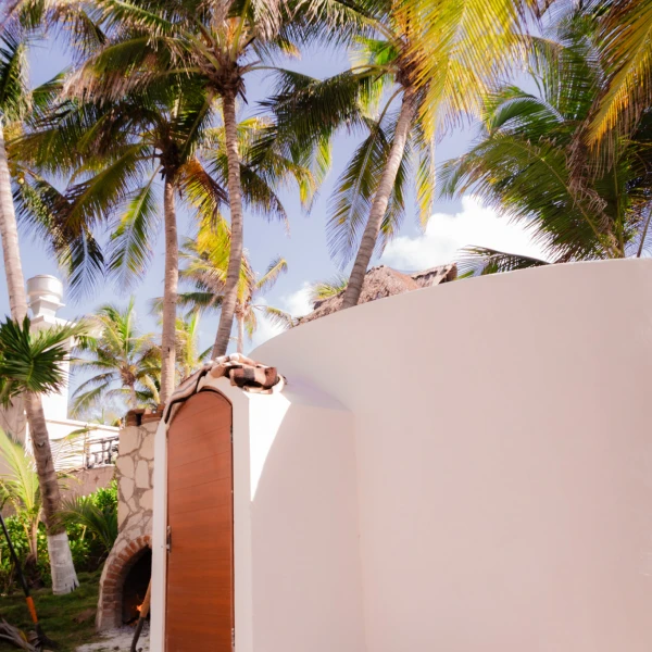 Puerta de madera y muro de adobe bajo palmeras y cielo azul.