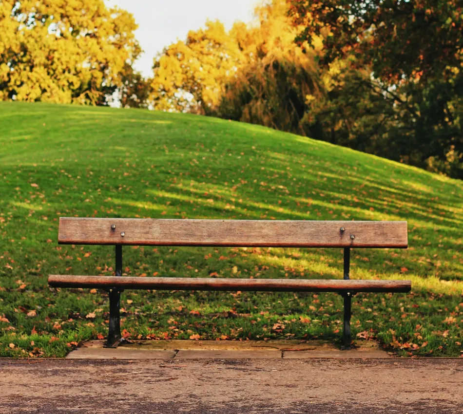 Banc en bois devant une pelouse verte et des arbres en automne.