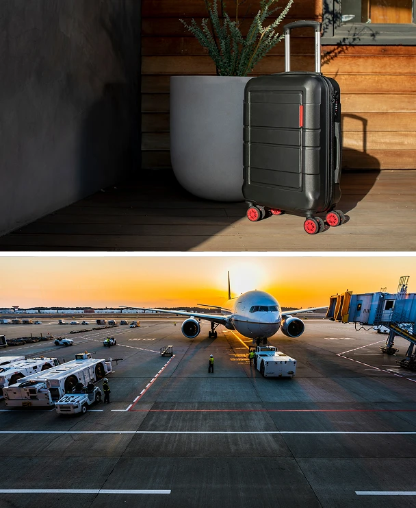 Una maleta negra junto a una maceta y un avi&oacute;n en una pista de aeropuerto al atardecer.