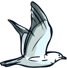 Illustration d'un oiseau blanc en vol sur fond noir.