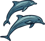 Deux dauphins stylis&eacute;s nageant ensemble, avec des d&eacute;tails dans les tons bleus et des formes fluides.
