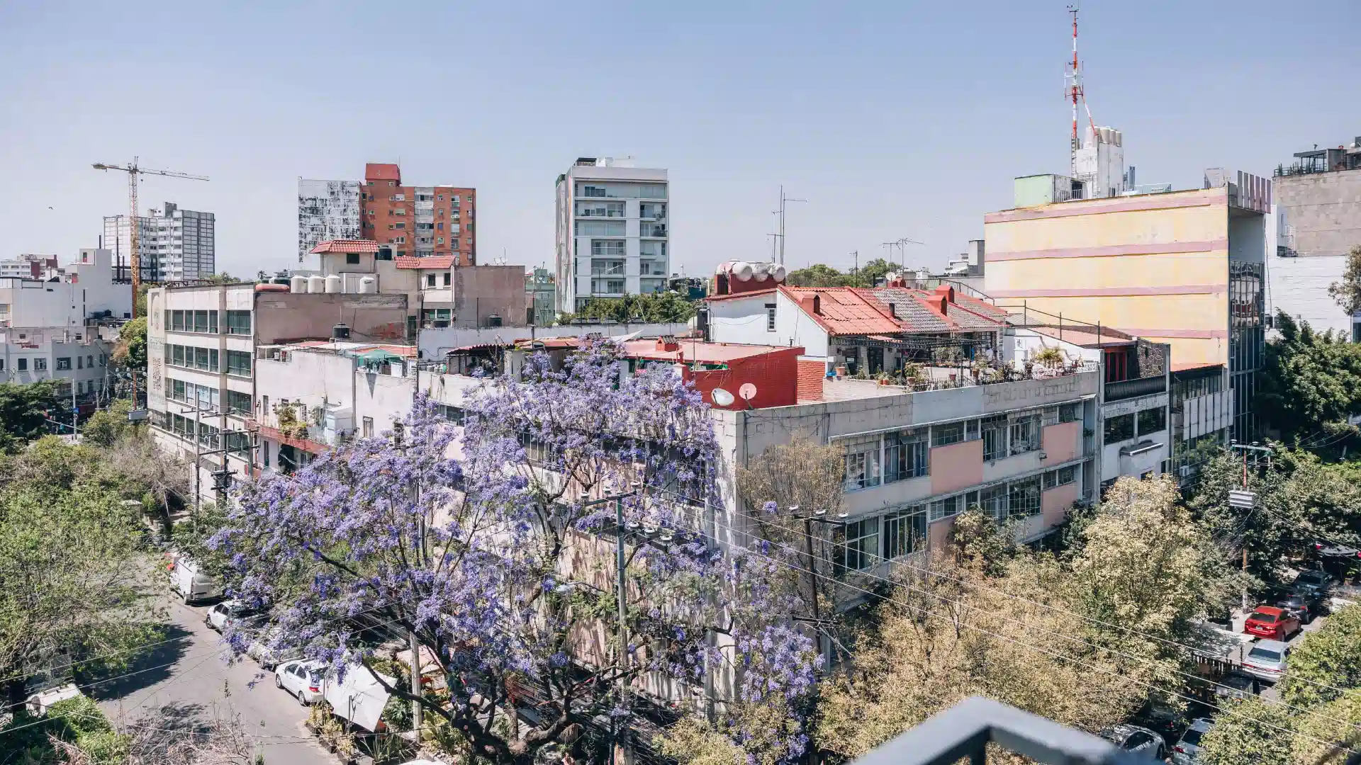 Galer&iacute;a - Tanat Boutique Art