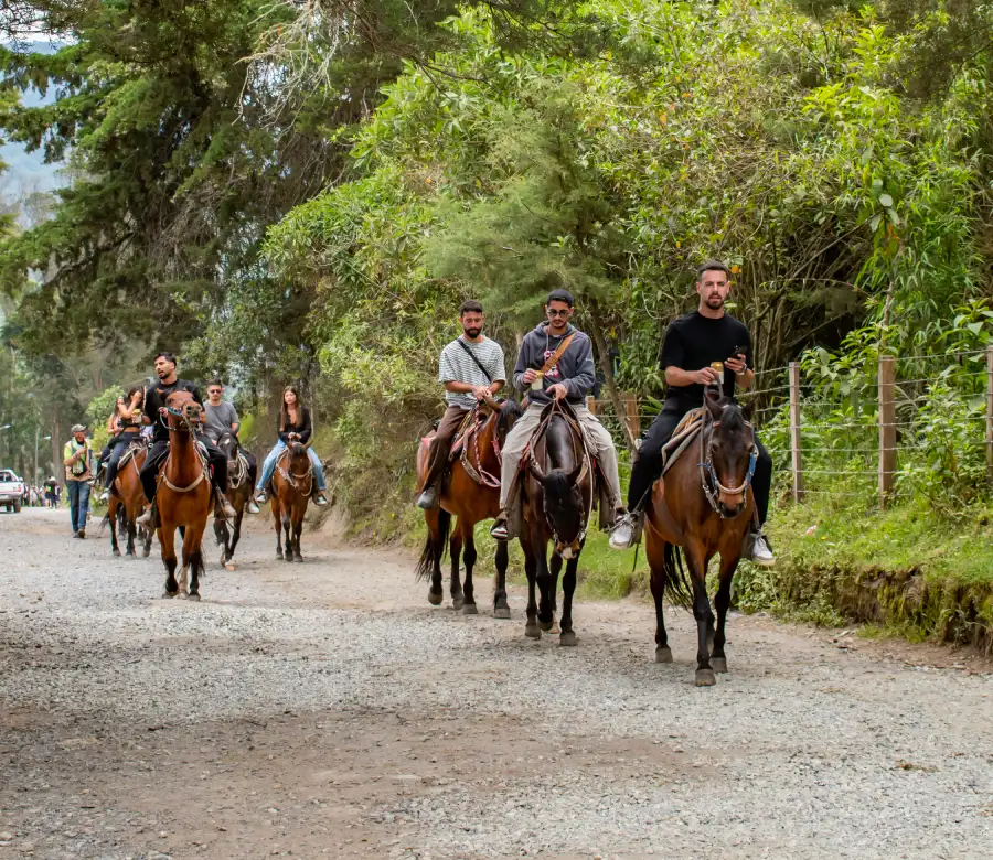 Grupo de personas montando a caballo en un camino rodeado de &aacute;rboles y naturaleza.