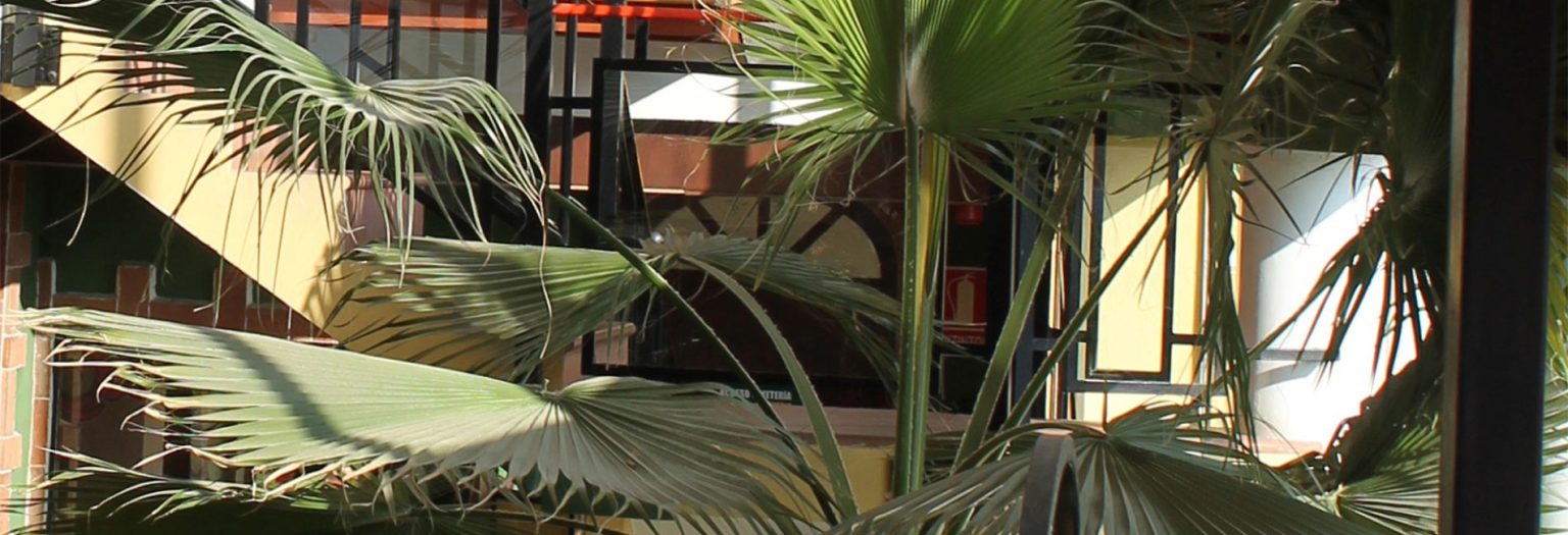 León Dormido Rooms and Apartments, Polop  oficial