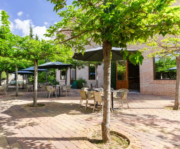 Terraza al aire libre con mesas, sillas, sombrillas y &aacute;rboles, junto a un edificio de ladrillo.