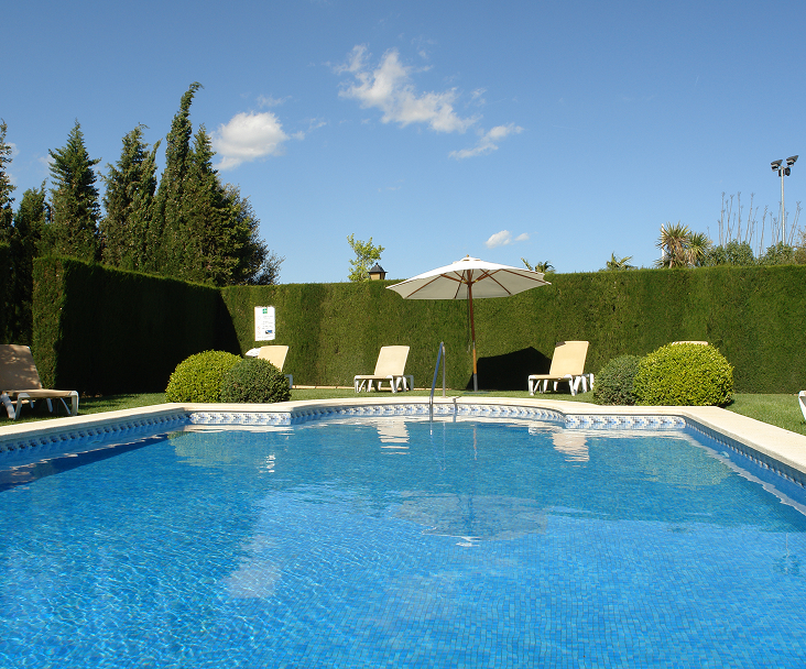 Piscina azul con tumbonas y sombrilla, rodeada de setos verdes, bajo un cielo despejado.